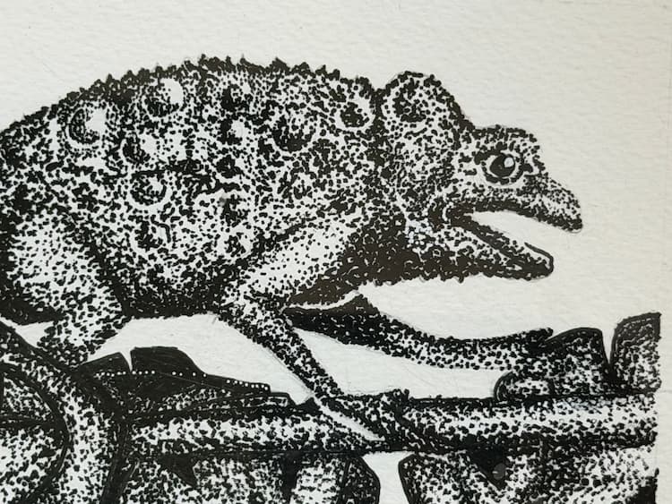 "Contes Animaliers 2" by Isabelle Panis